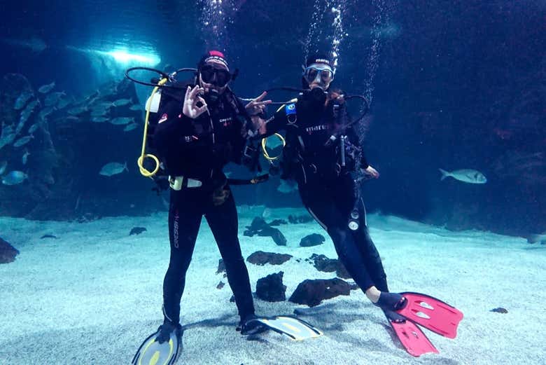 Disfrutando de la experiencia de buceo