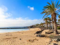 Costa de Playa Flamingo