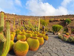 Entrada al Jardín de Cactus
