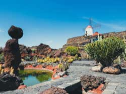Interior del Jardín de Cactus
