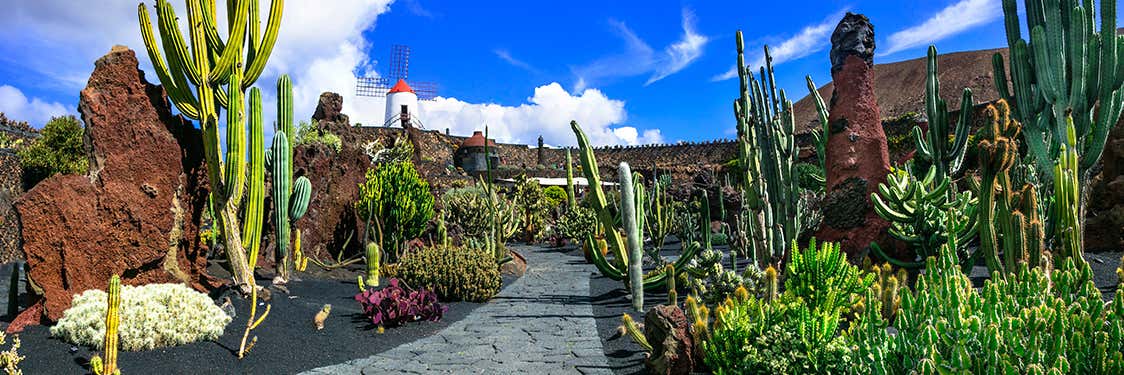 Jardín de Cactus