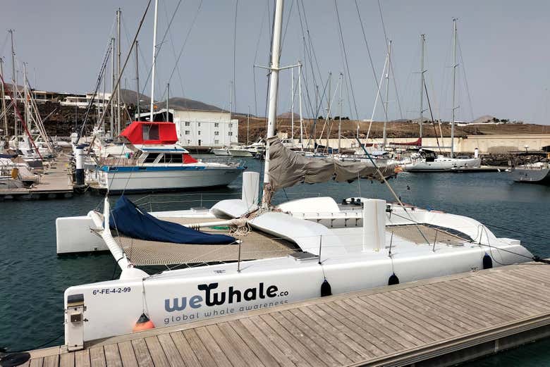 El barco en el que navegaremos